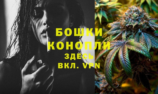 мяу мяу кристалл Гусь-Хрустальный