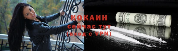 СК Гусев