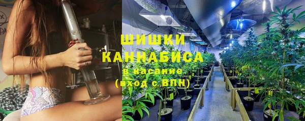 мяу мяу кристалл Гусь-Хрустальный